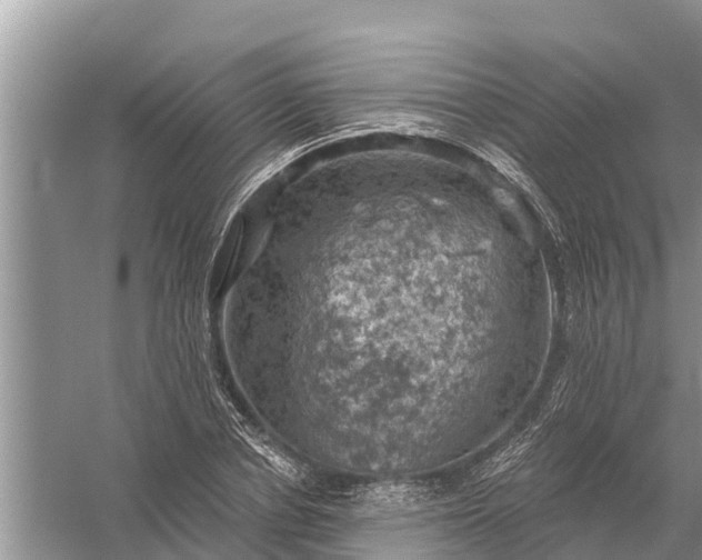 X0000058140834200510072029