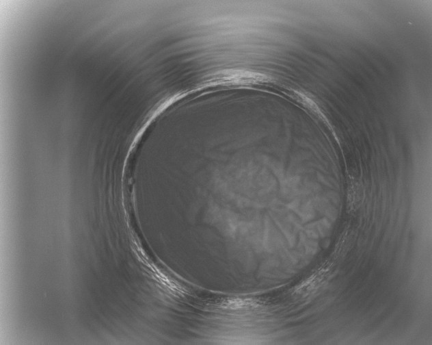 X0000058140835200510072029