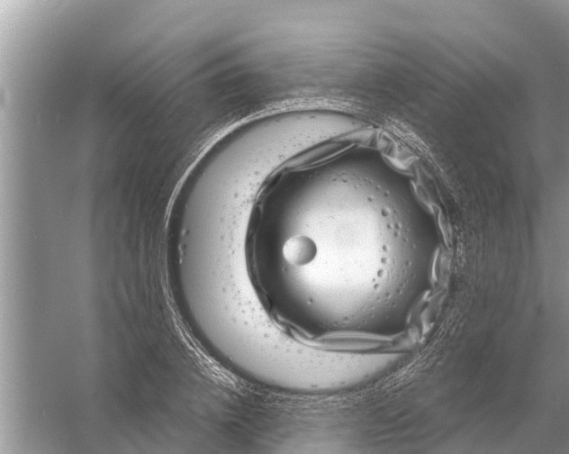 X0000058140836200510072029