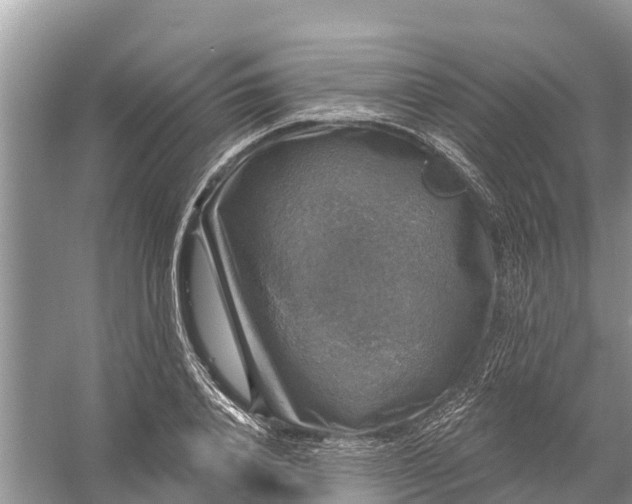 X0000058140840200510072029