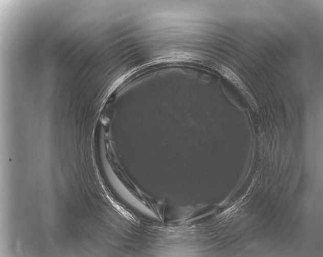 X0000058140842200510072029