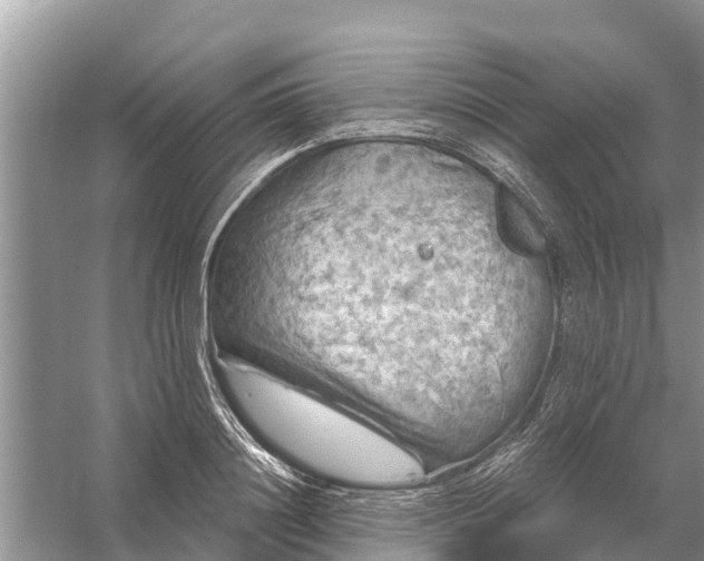 X0000058140844200510072029