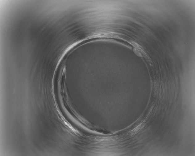 X0000058140846200510072029