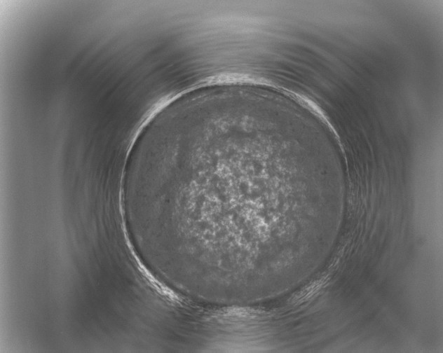 X0000058140847200510072029