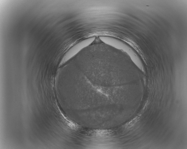 X0000058140849200510072029