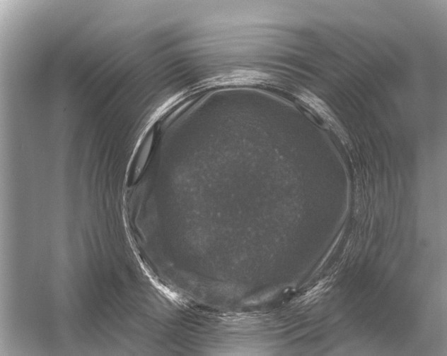 X0000058140850200510072029