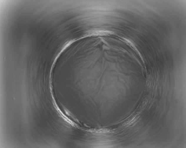 X0000058140851200510072029