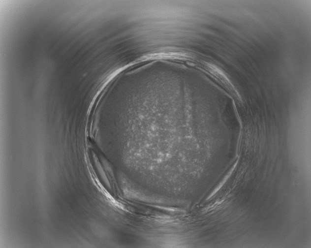 X0000058140852200510072029