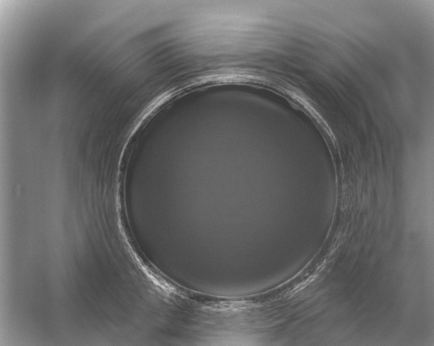 X0000058140853200510072029