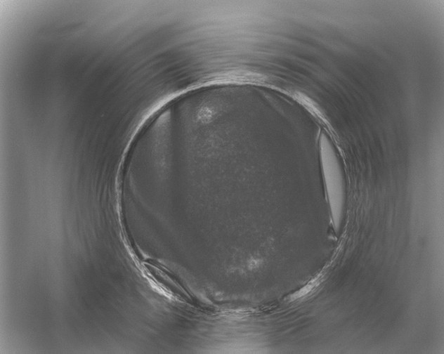 X0000058140854200510072029