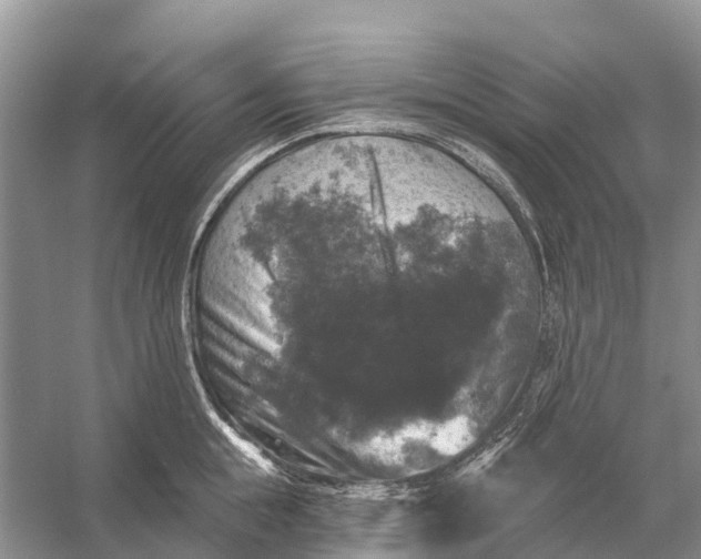 X0000058140855200510072029