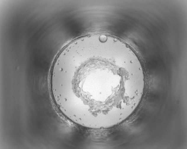 X0000058140856200510072029