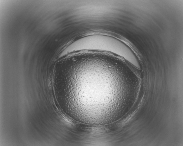 X0000058140857200510072029