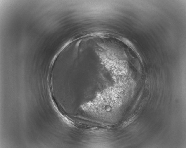 X0000058140859200510072029