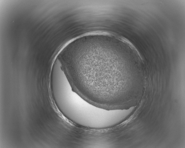 X0000058140860200510072029