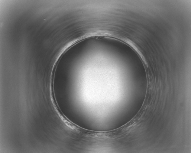 X0000058140861200510072029