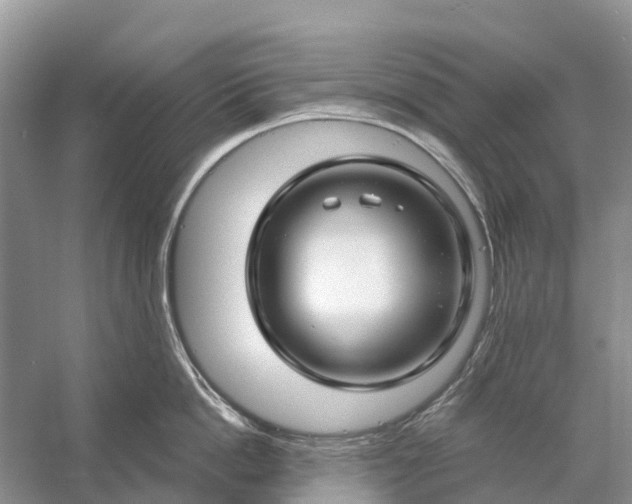 X0000058140862200510072029