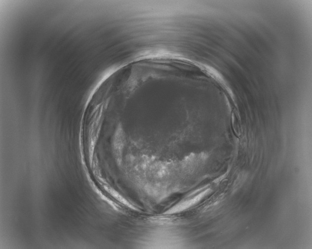 X0000058140863200510072029