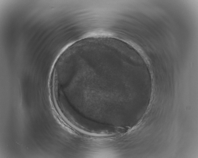 X0000058140864200510072030