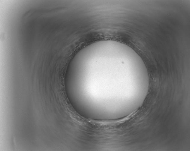 X0000058140865200510072029