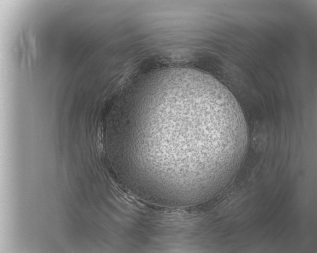 X0000058140866200510072029