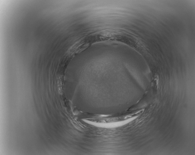 X0000058140868200510072029