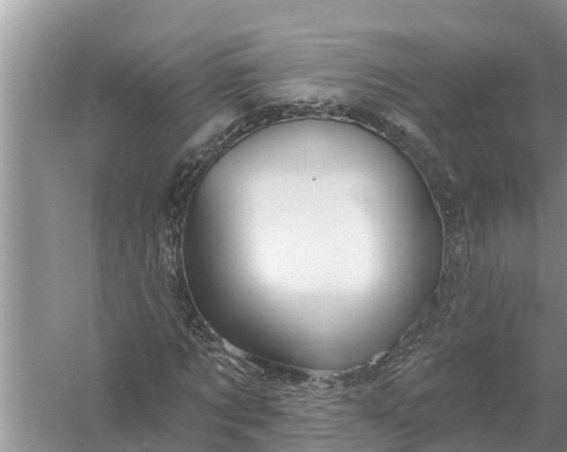 X0000058140869200510072029