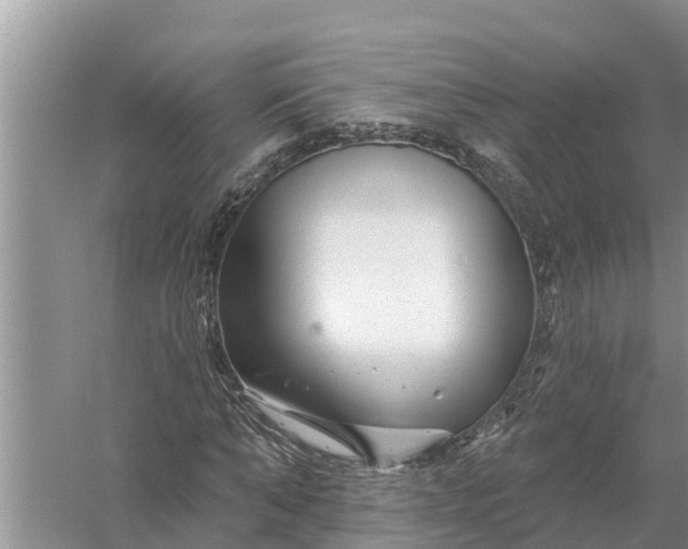 X0000058140870200510072029