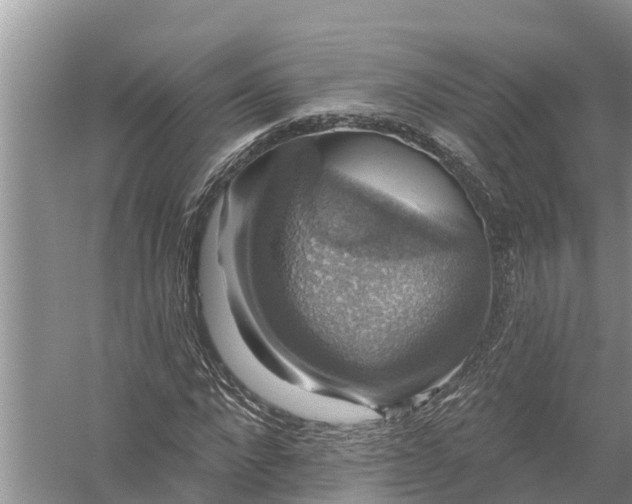 X0000058140872200510072029