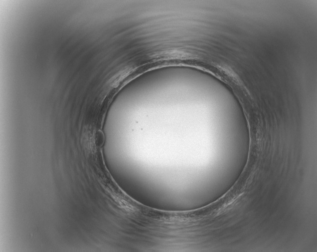 X0000058140873200510072029