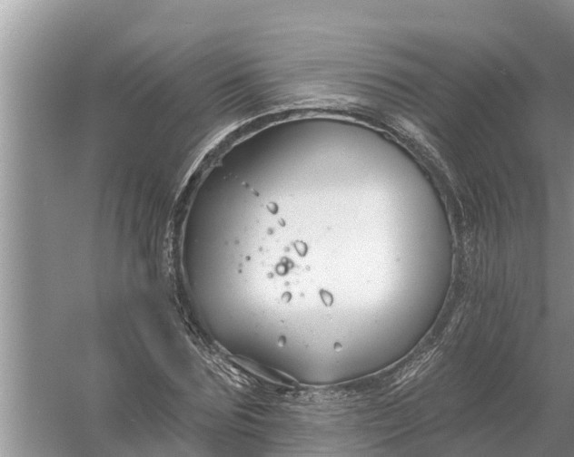 X0000058140875200510072029