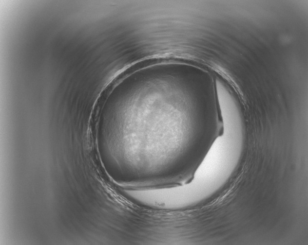 X0000058140876200510072029