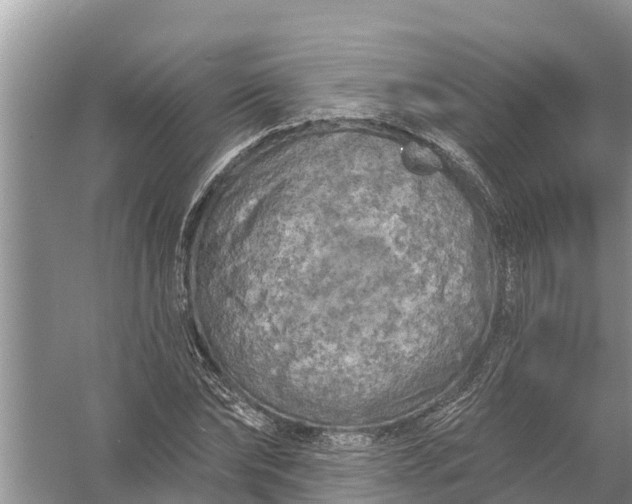 X0000058140878200510072028