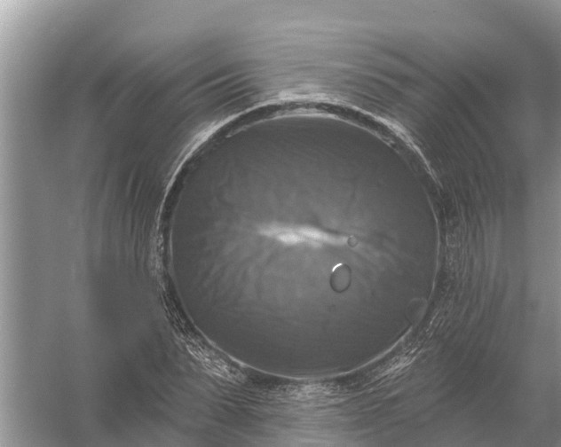 X0000058140879200510072028