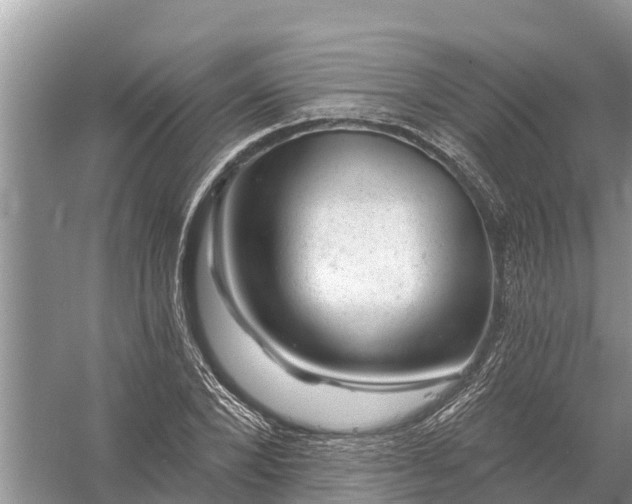 X0000058140880200510072028