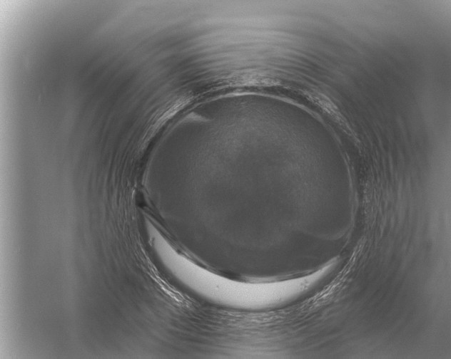 X0000058140881200510072028