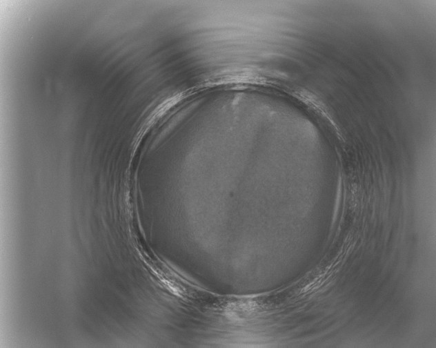 X0000058140882200510072028