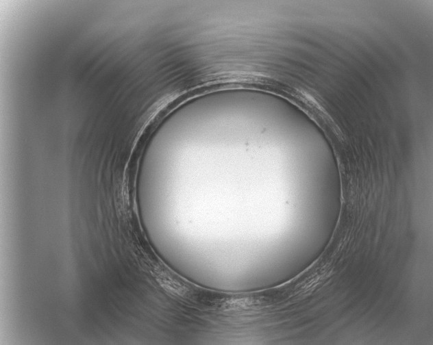 X0000058140883200510072028