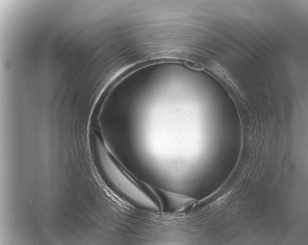 X0000058140884200510072028