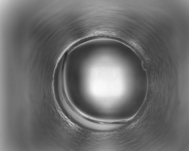 X0000058140888200510072028