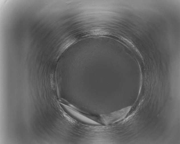 X0000058140889200510072028