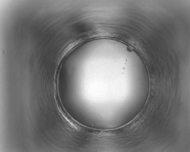 X0000058140890200510072028