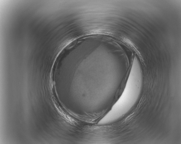 X0000058140892200510072028