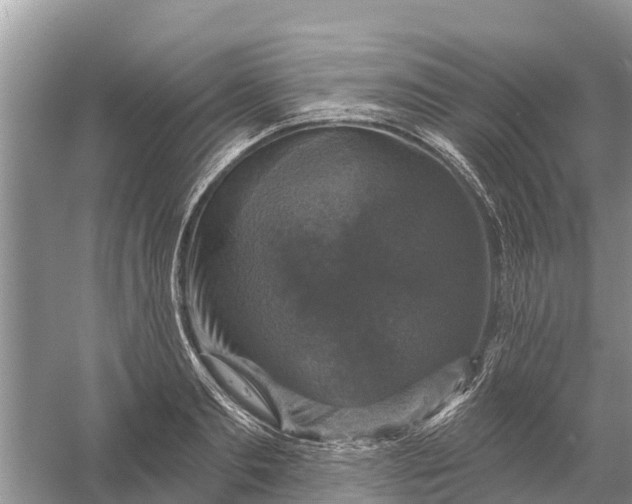 X0000058140893200510072028