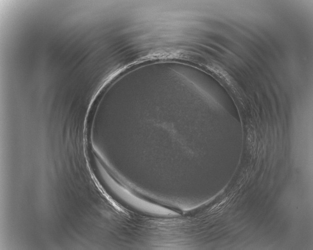 X0000058140894200510072028