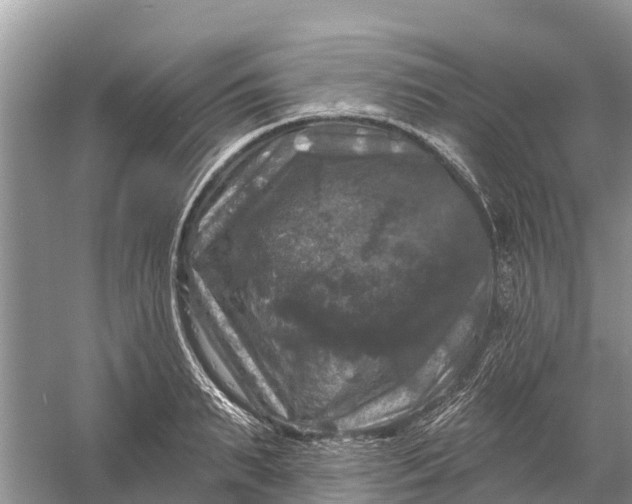 X0000058140895200510072028