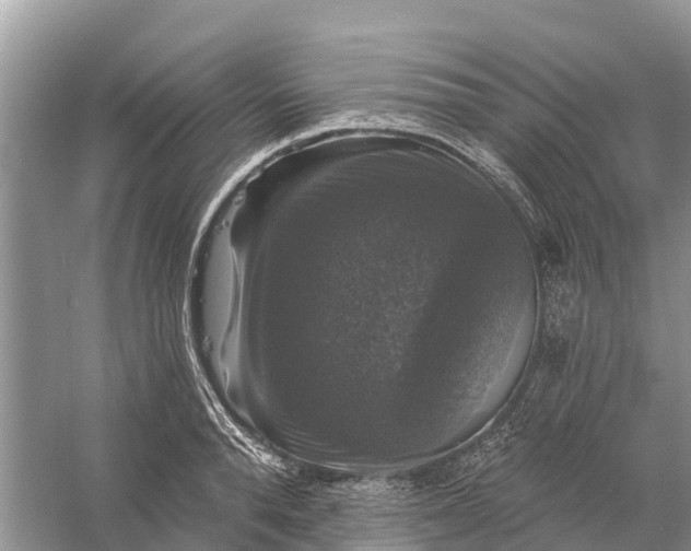 X0000058140896200510072028