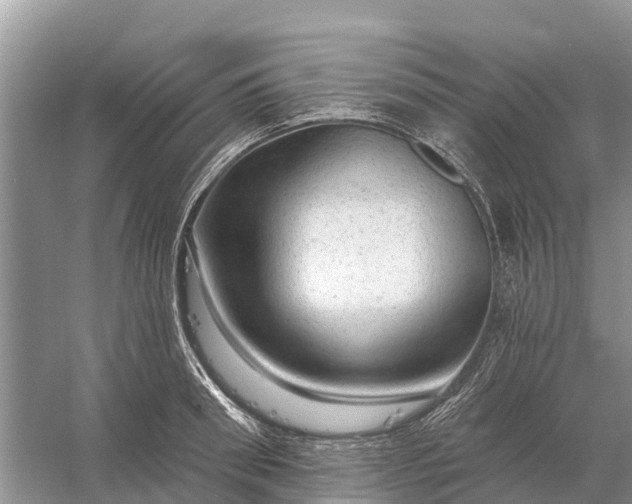 X0000058140898200510072028