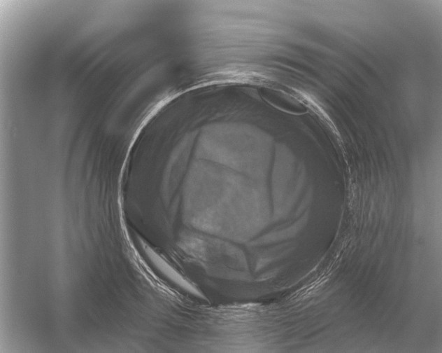 X0000058140899200510072028