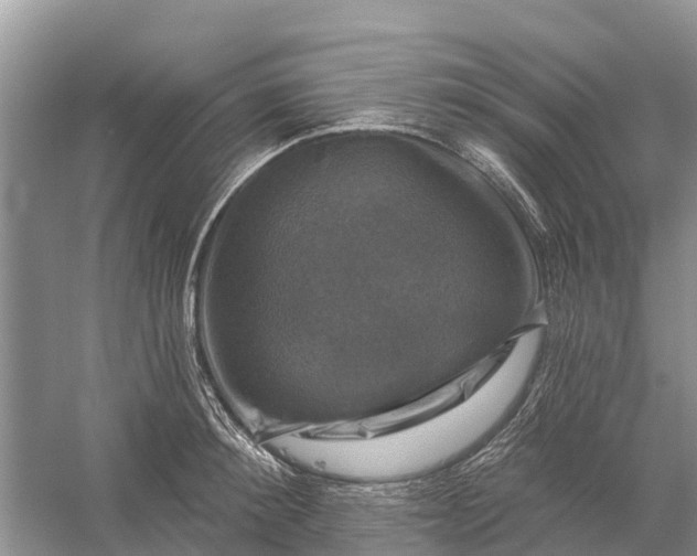 X0000058140900200510072028